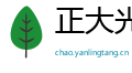 正大光明网
